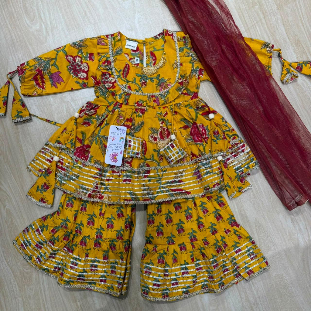 Gulmohar Sharara Set
